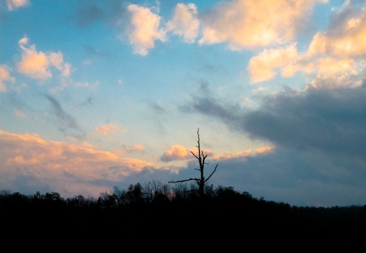 Sunset, Rough Trail